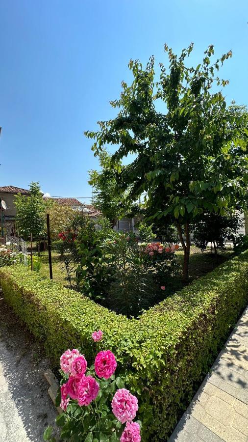 Js House Shkoder 1 Leilighet Eksteriør bilde